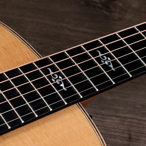 2024年の新アコースティックギター | Taylor Guitars